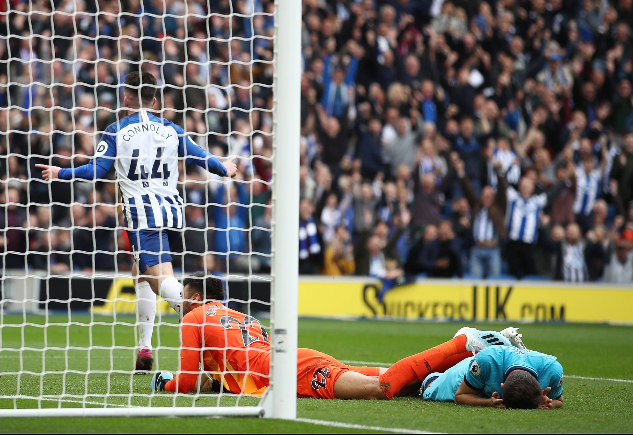 注与决心 注与决心